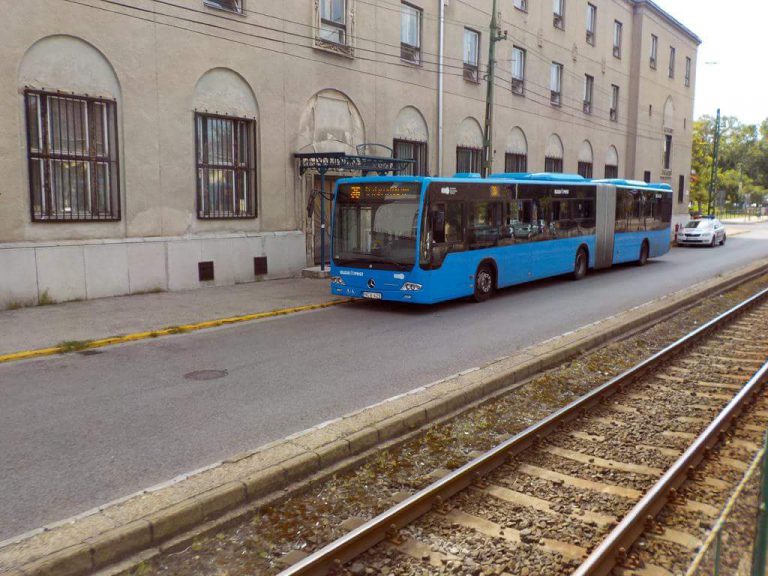 36 busz