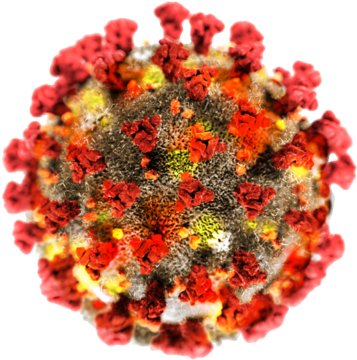 covid 19 virus