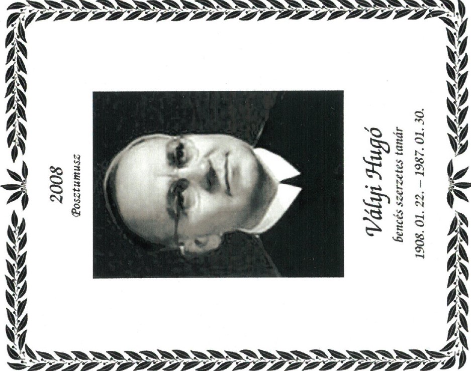 2008 Valyi Hugo