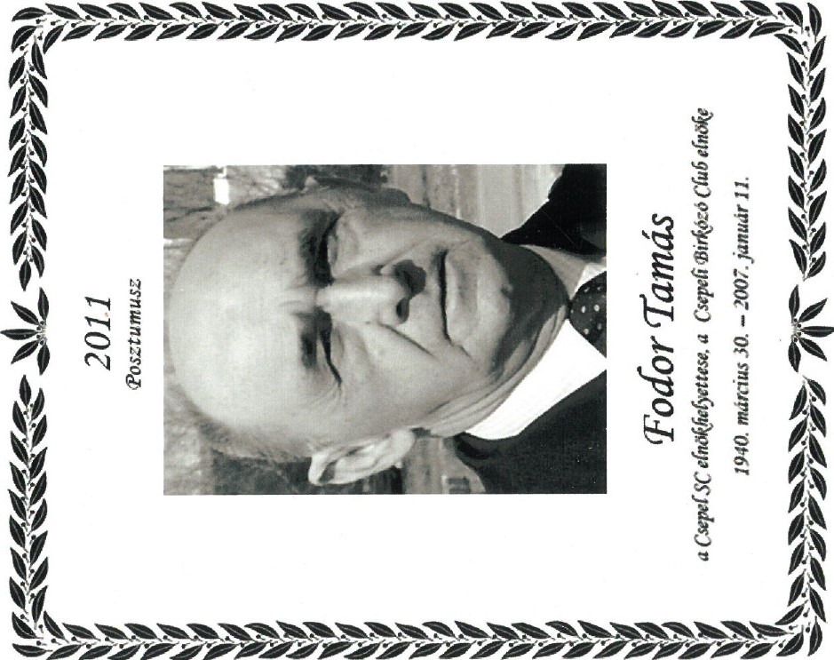 2011 Fodor Tamas