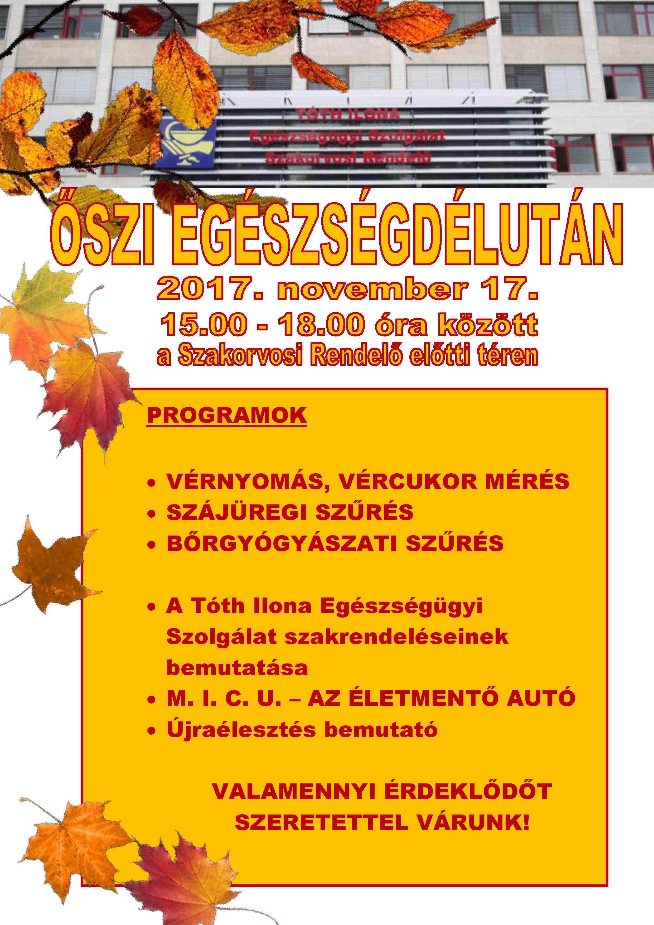Oszi Egeszsegdelutan plkaat page 001