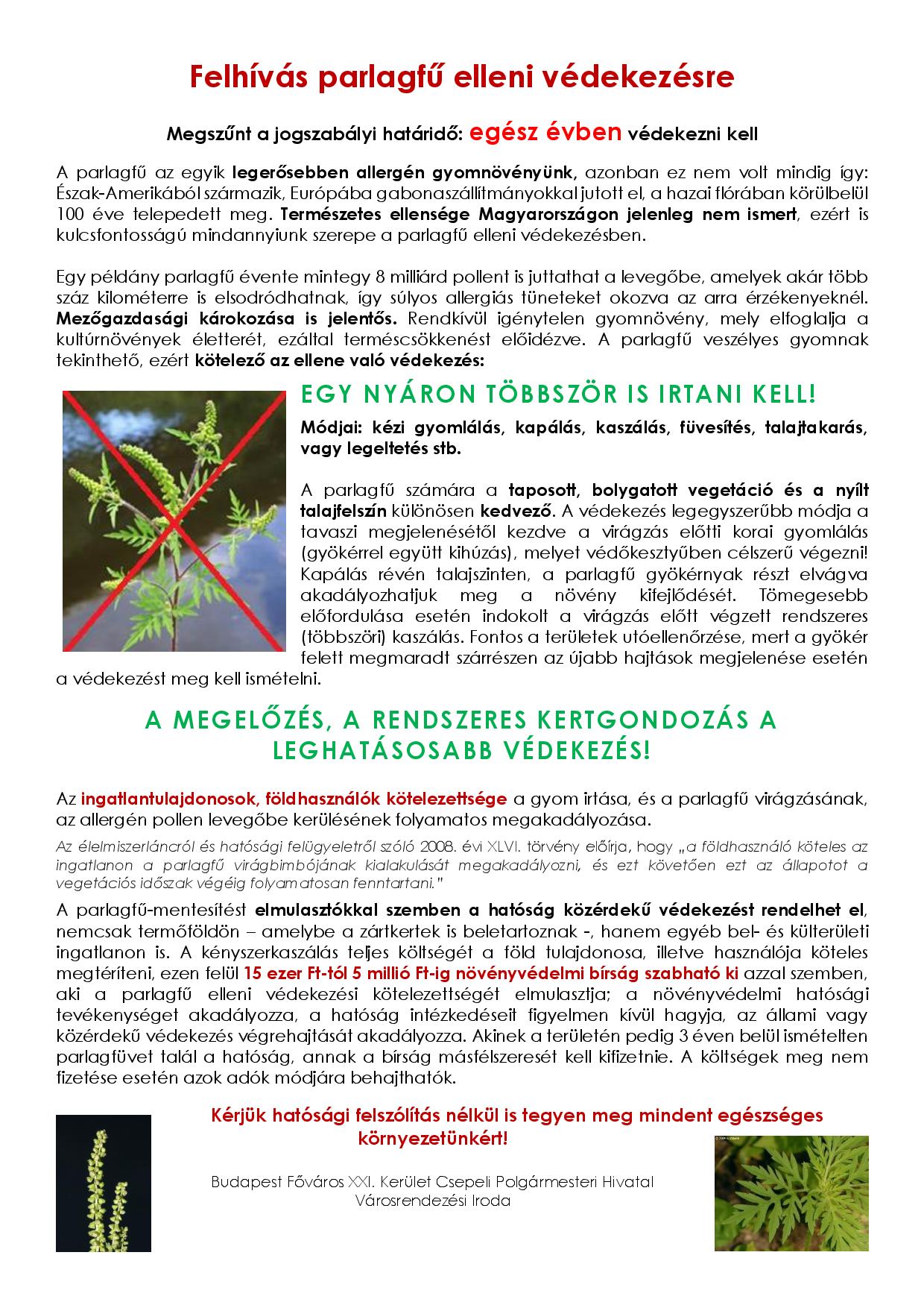 Parlagfuirtas Felhivas vegleges page 001
