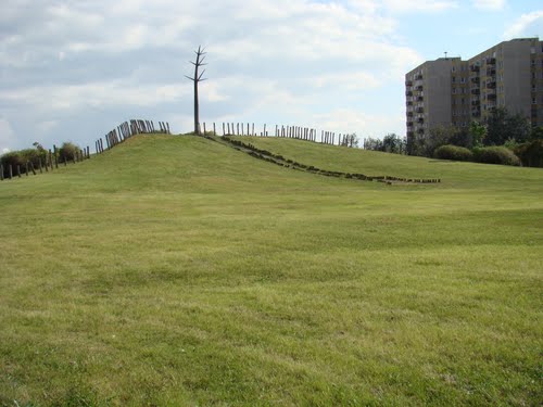 daru