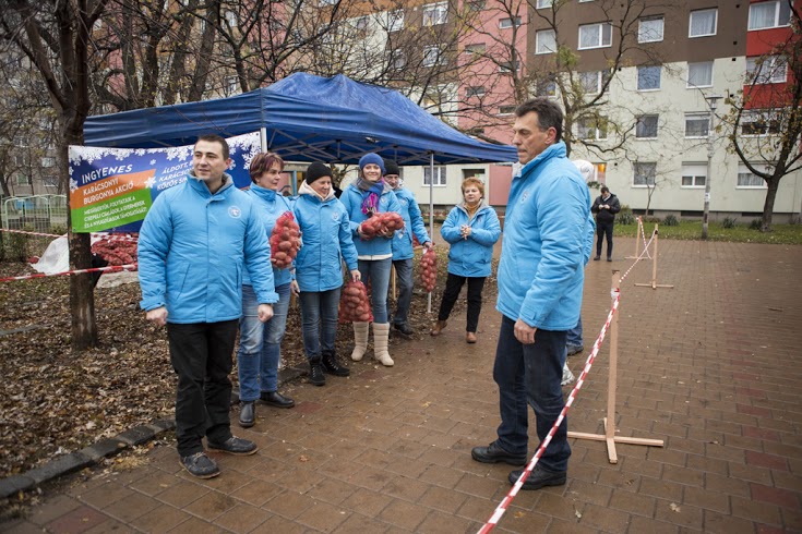 krumpli14
