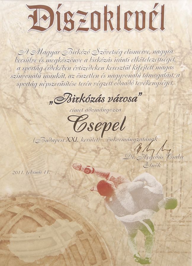 Csepel_birkozas_varosa_002
