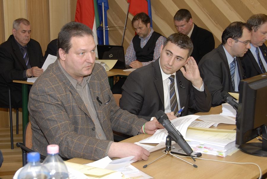 Nemeth_Szilard_Borbely_Lenard_testuleti_2011_februar