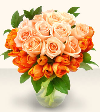 {multithumb thumb_width=200 thumb_height=224}