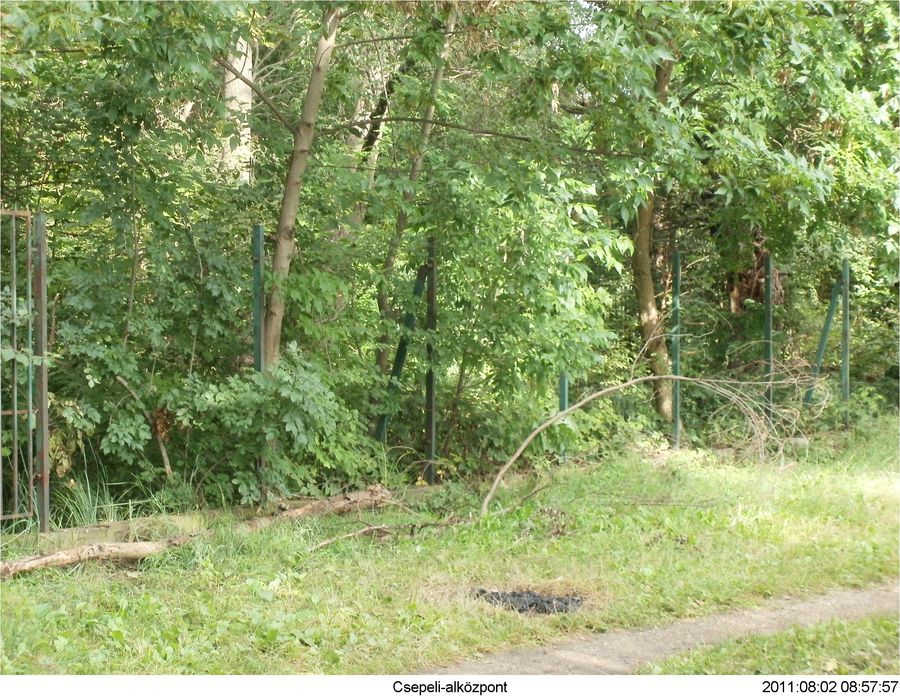 Hollandi_t_53-55_010