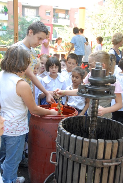 szuret2