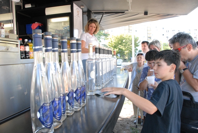 tajegys2
