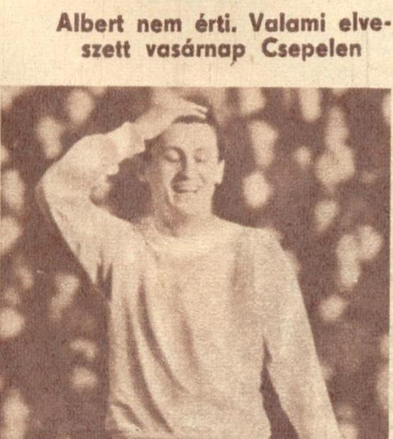 Albert-Csepel