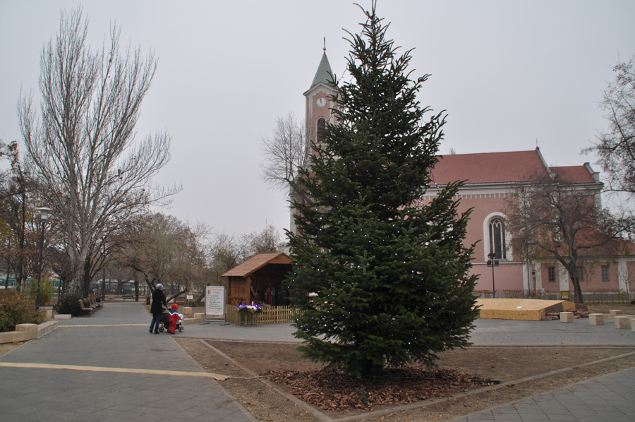 karcsonyfa2