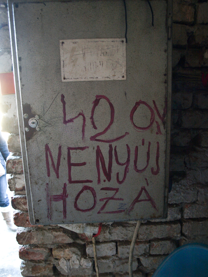 bejaras8
