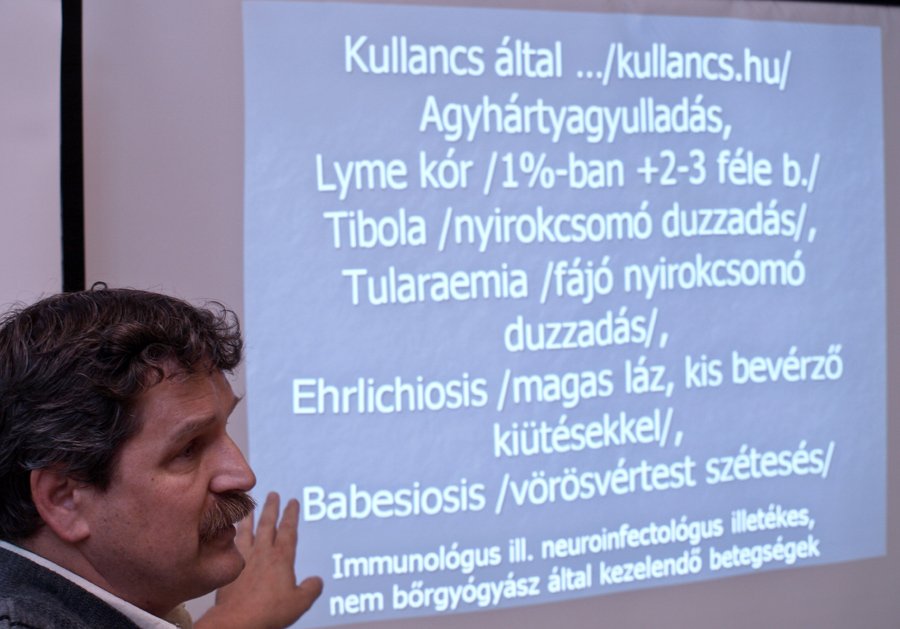 kullancs2
