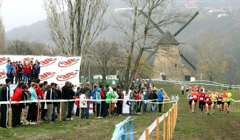 Tavoli_Malmos