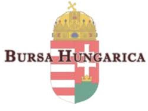 bursa