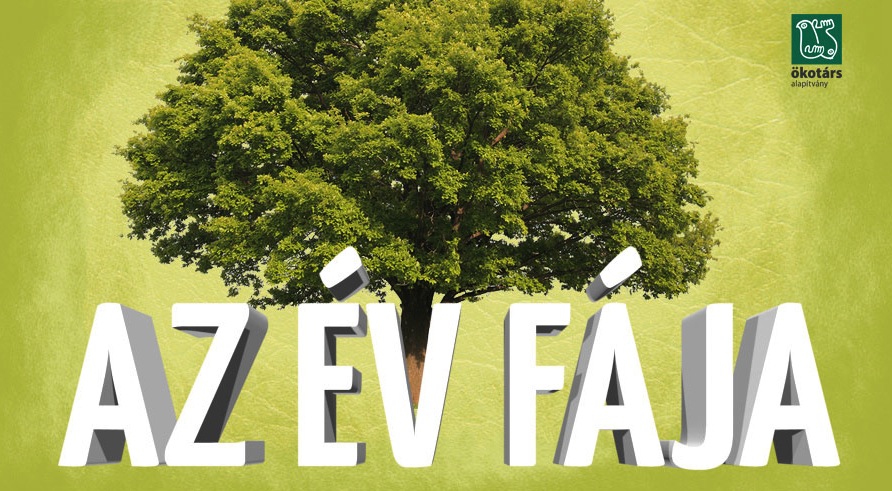 ev_faja