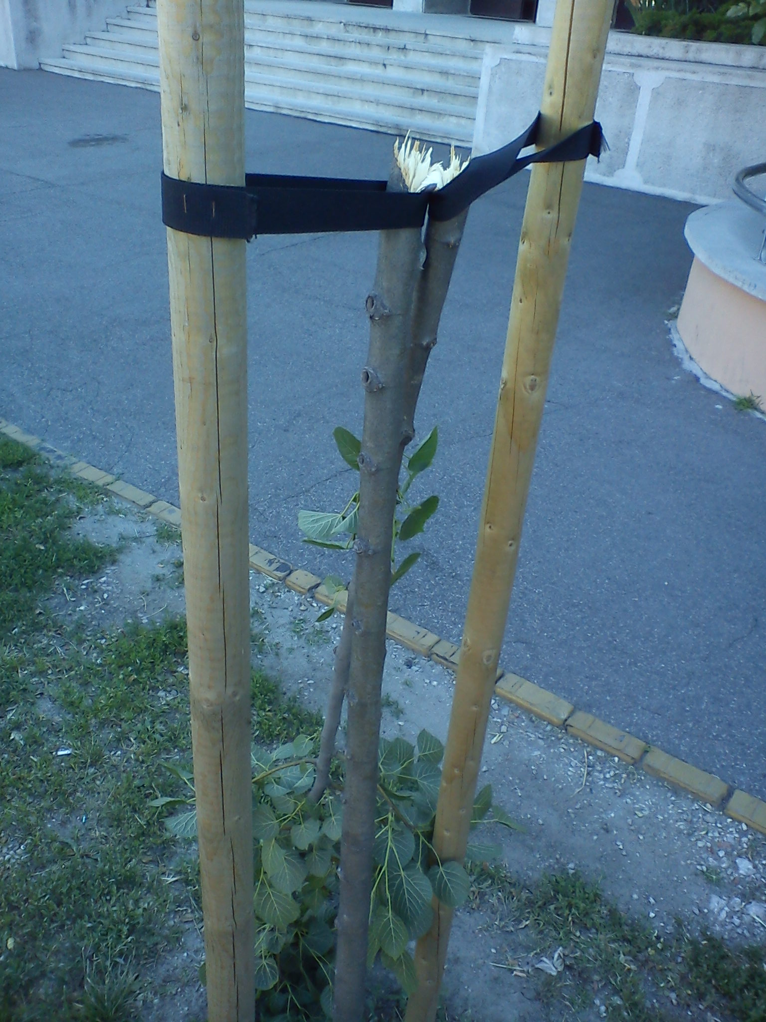 DSC01818