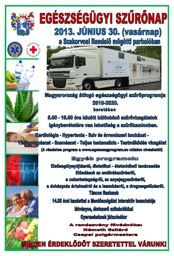 plakt_szrnap_2013_mdostott