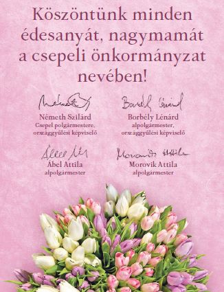 anyak_napja