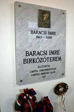baracsi_tabla-kicsi