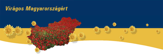 viragos_magyarorszag_nagy_299_20110428114509_499
