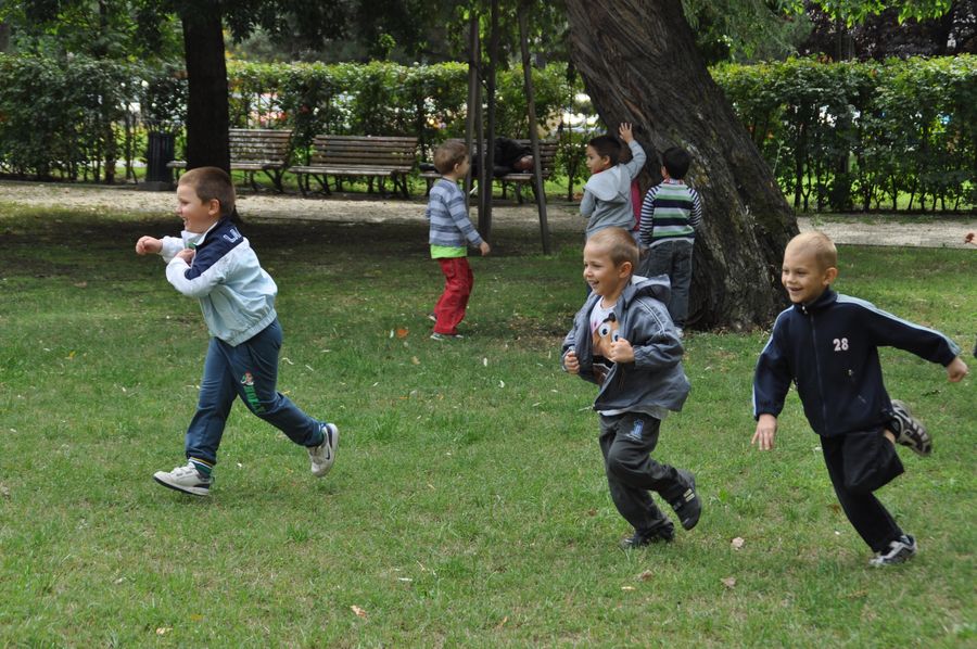 ovisok_016