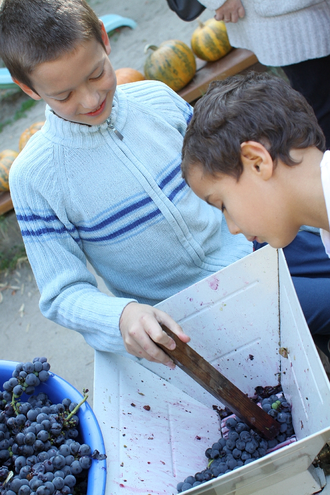 szuret08