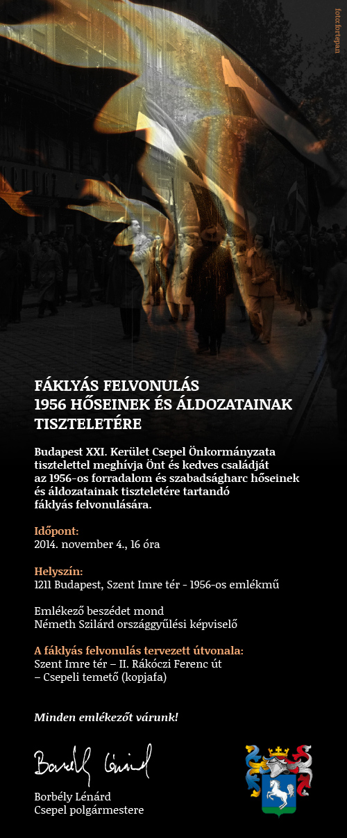 nov4_meghivo_2014