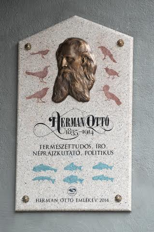 herman5