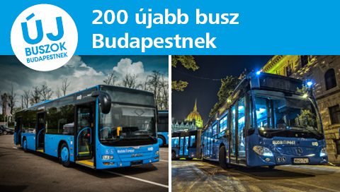 busz