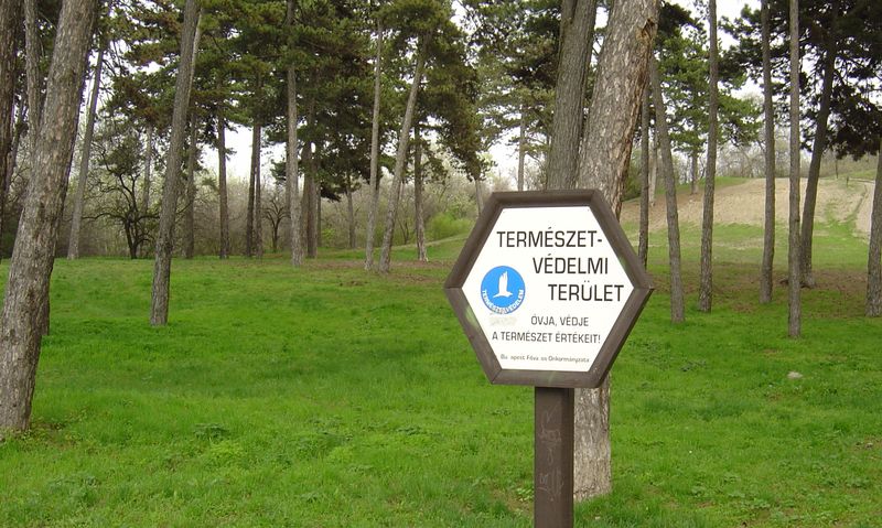 csepel_tamariska_domb