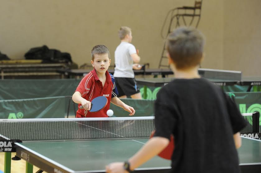 pingpong