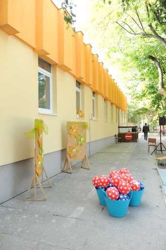 ovisok6