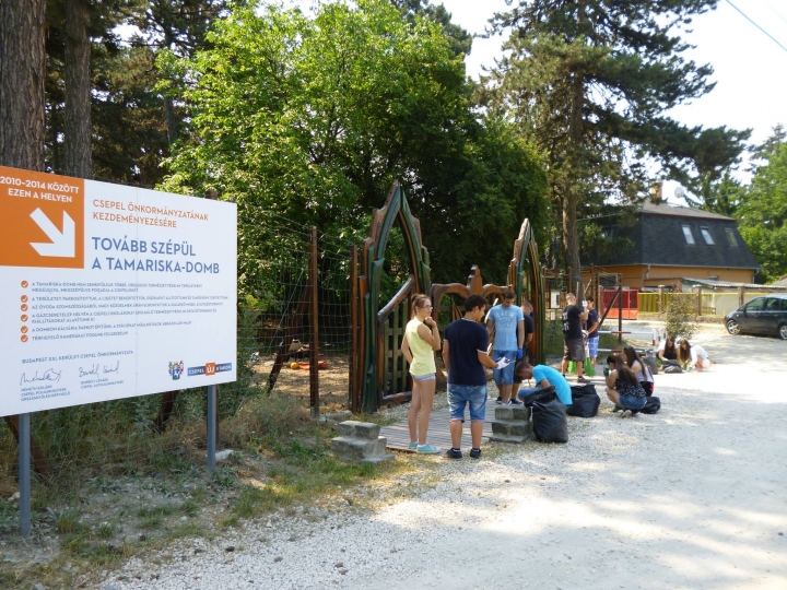 tamariska_iksz