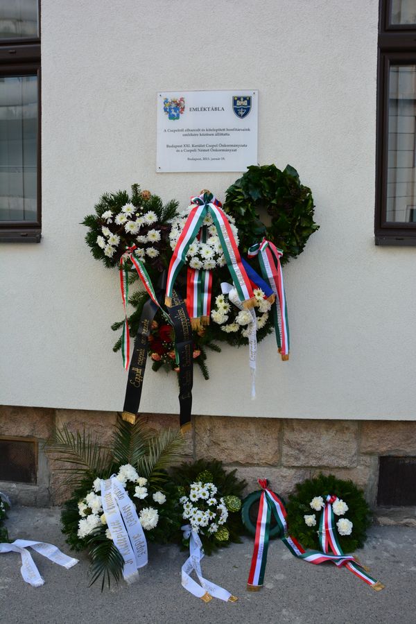 nszkoszoru 005