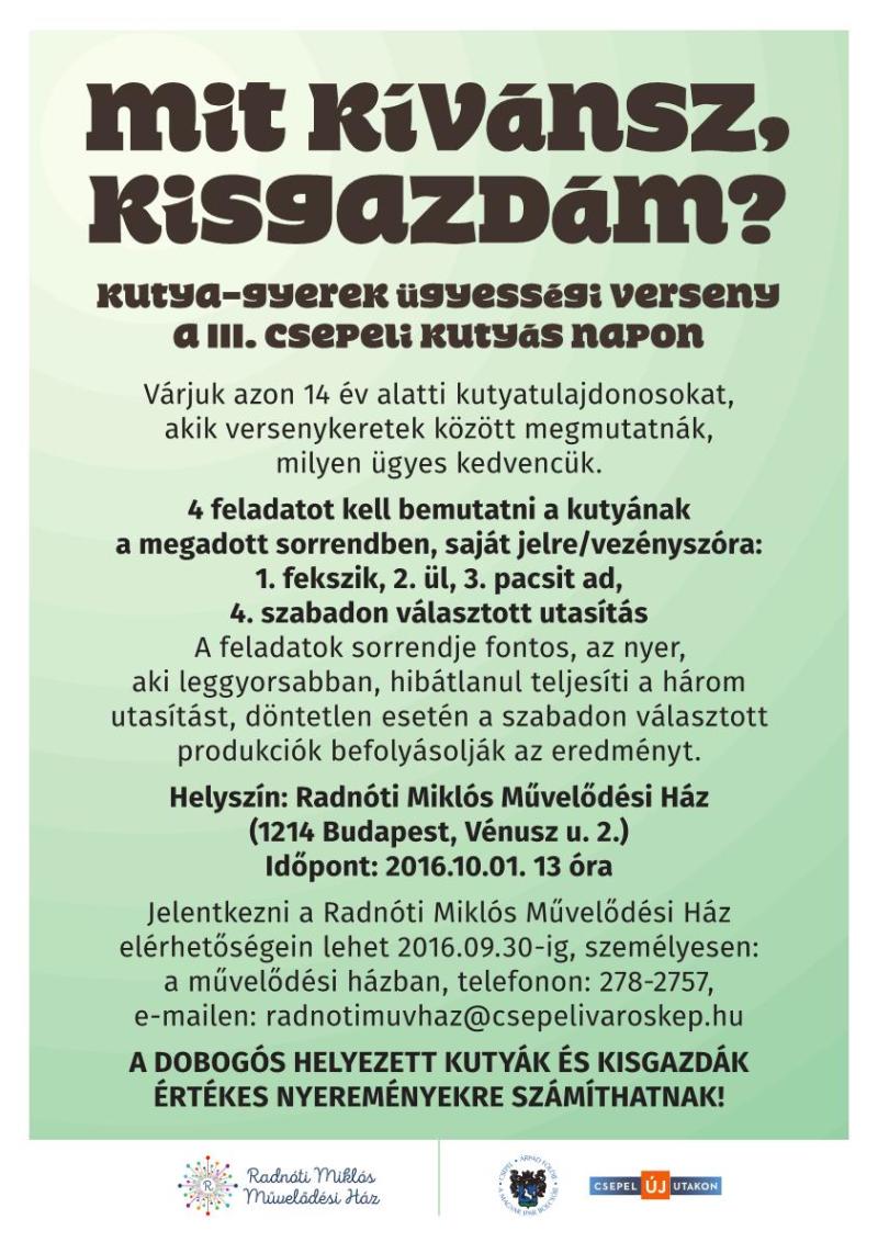 1473247567kutyasnap felhivas A3 1