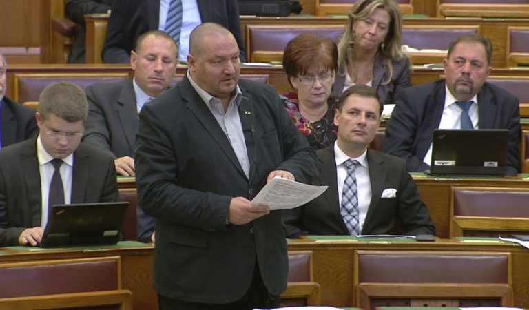 NSz parlament 768x450
