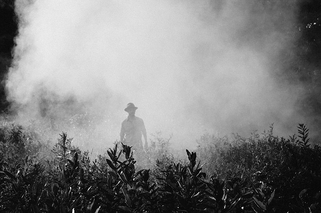 fog 918976 640