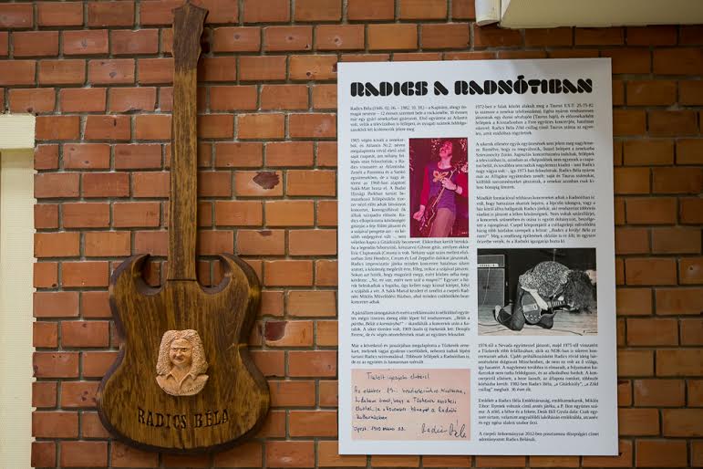 radics5
