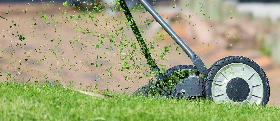lawn mower 938555 960 720