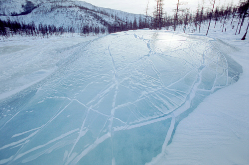 frozen