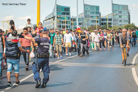 migransok