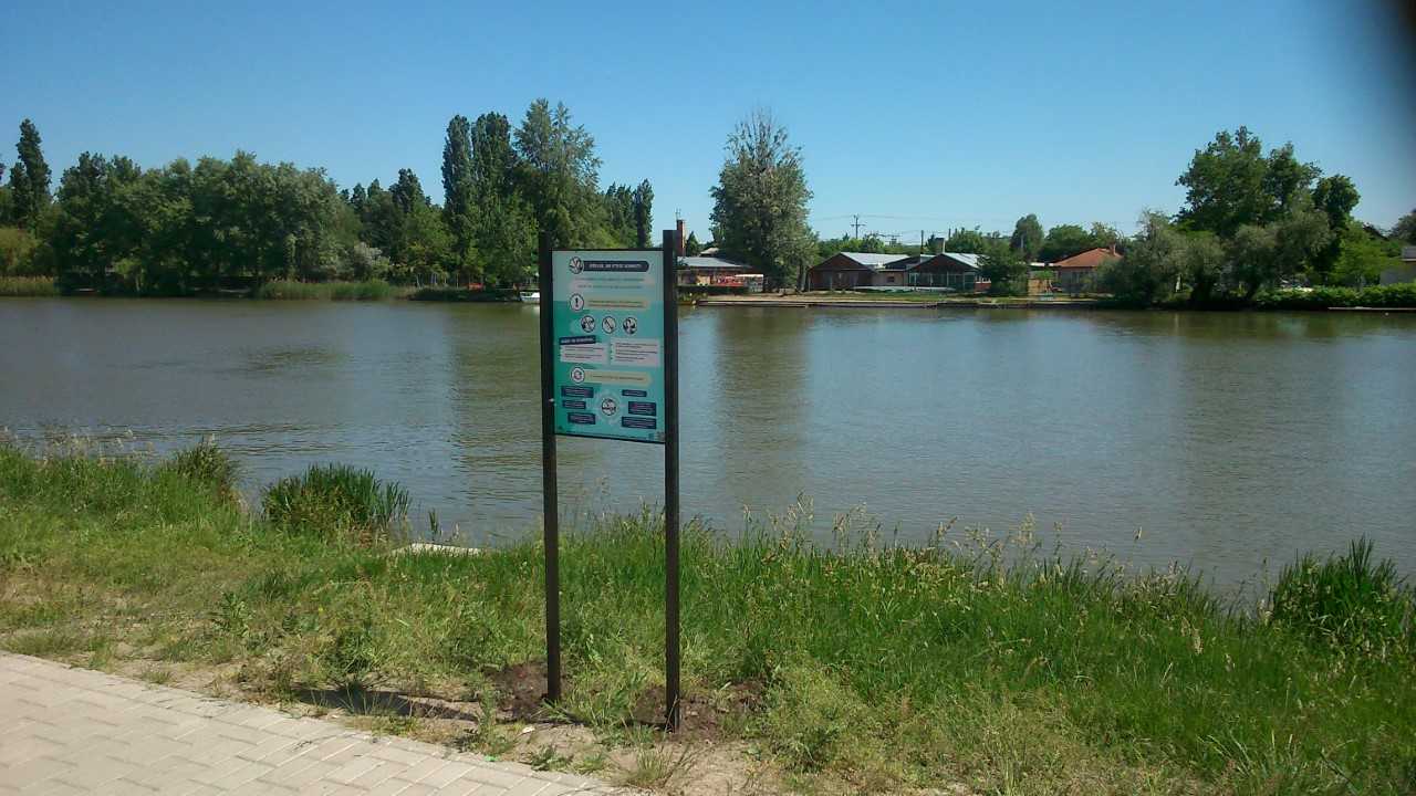madar