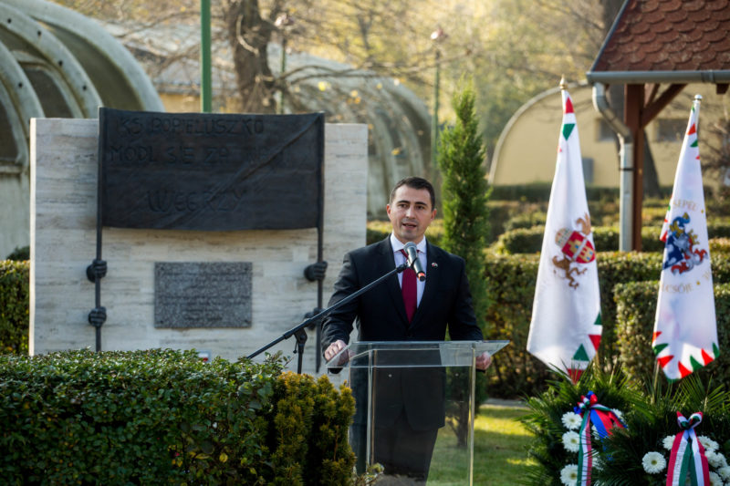 Lengyelorszag fuggetlensege visszaszerzesenek 100. evforduloja 05 KB 800x533