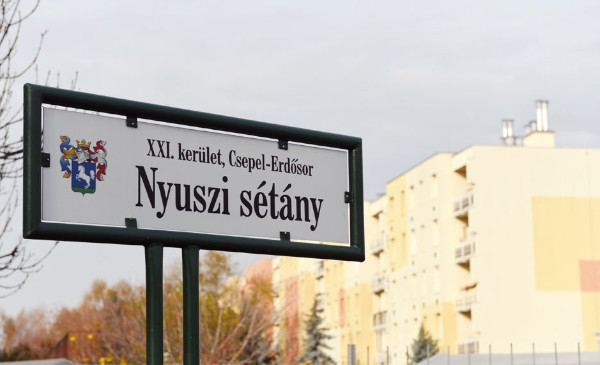 nyuszisetany
