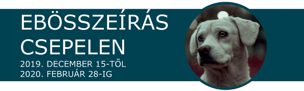 ebosszeiras