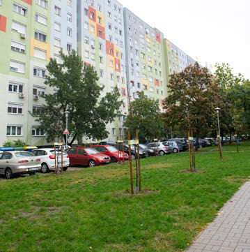 panel