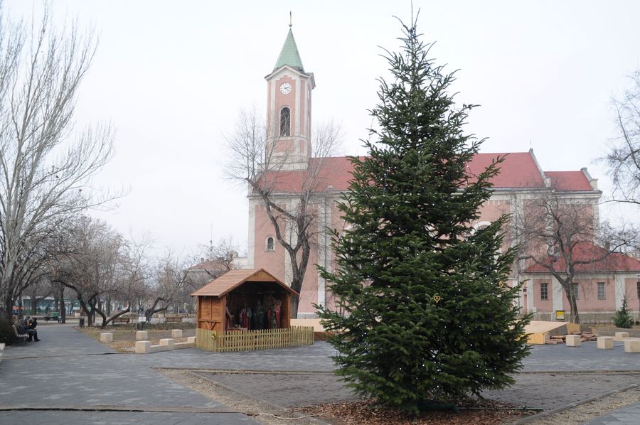 Karacsonyfa_Sztimre_ter_2011