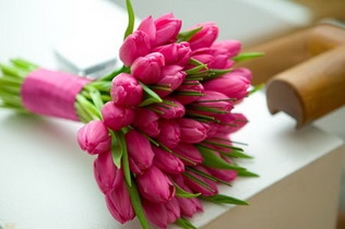 tulipn